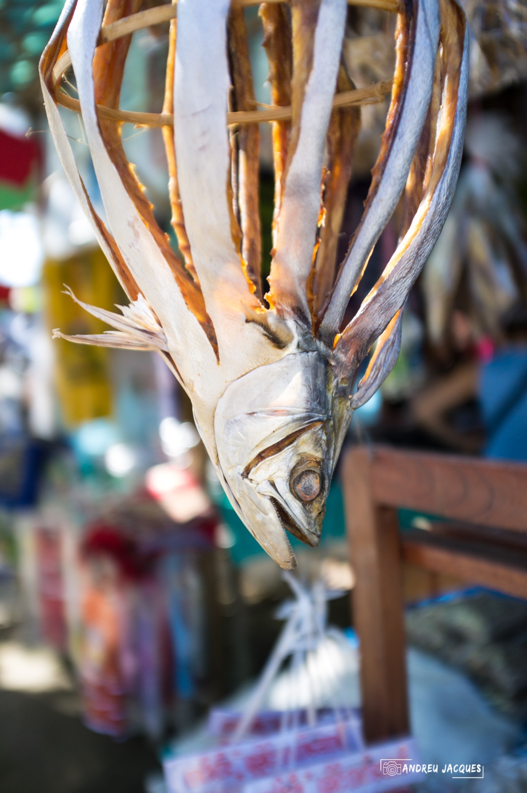 birmanie-229 (Grand).jpg